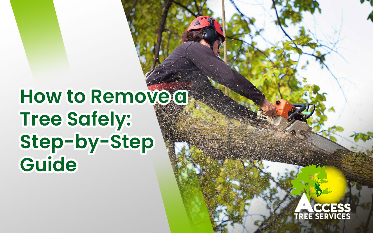 A step-by-step guide showing how to remove a tree safely with the right tools.