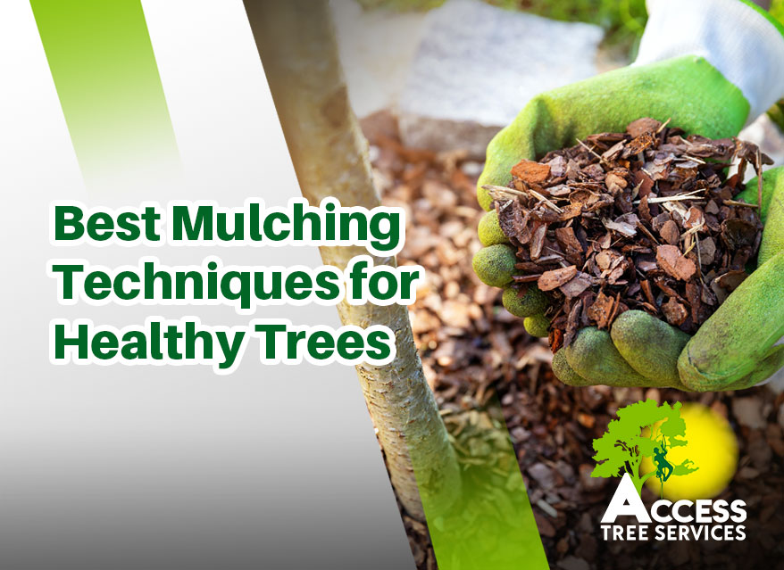 Discover the best mulching techniques.