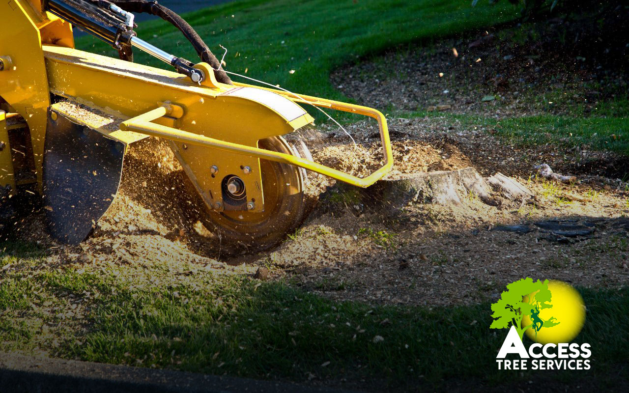 Professional stump grinding services in Baltimore, MD.