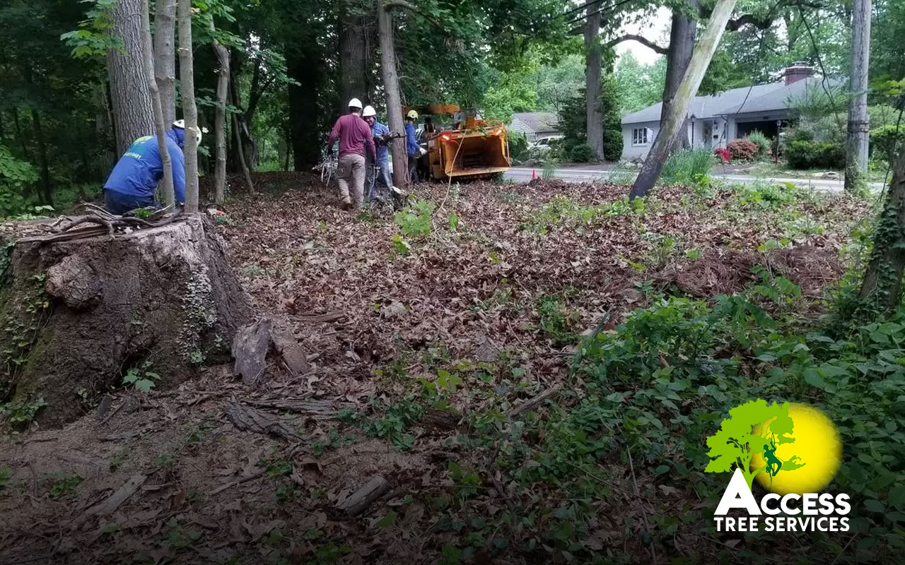 Professional fallen tree removal service clearing a hazardous tree from a residential property.