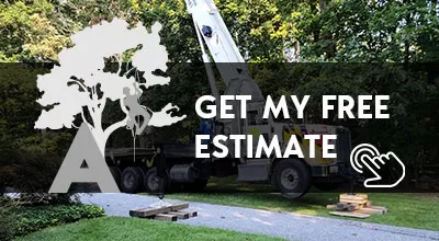 Get a Free Estimate - Access Tree Service LLC