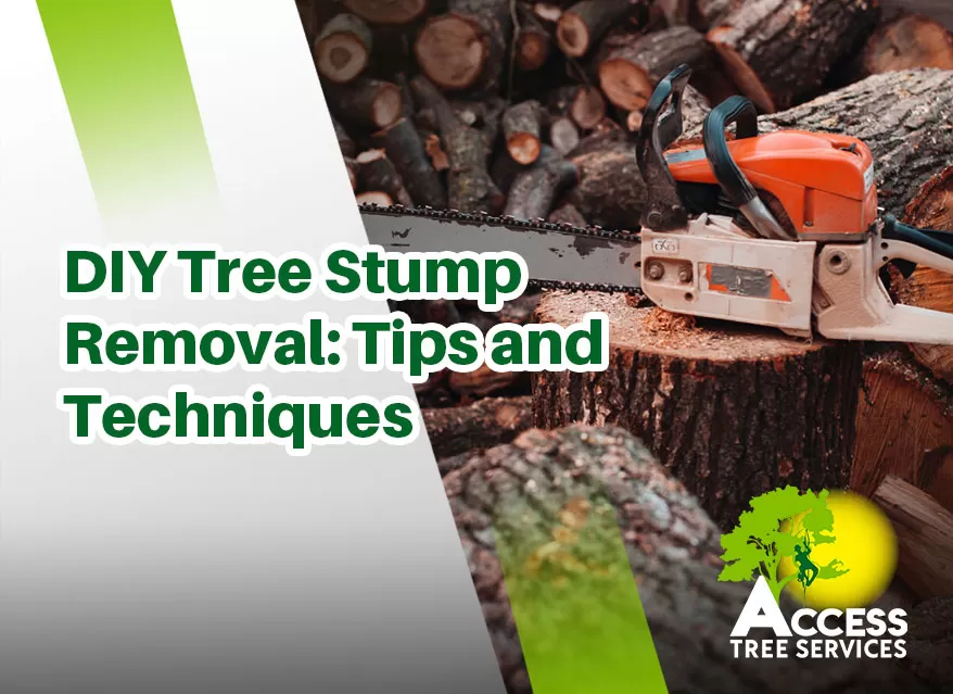 Tools needed for DIY tree stump removal